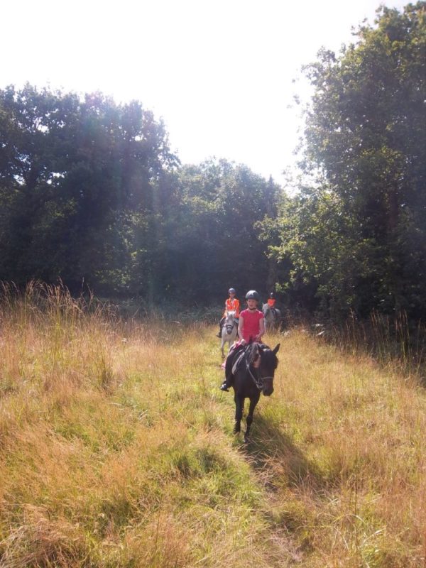 Initiation à la randonnée à cheval en Bretagne