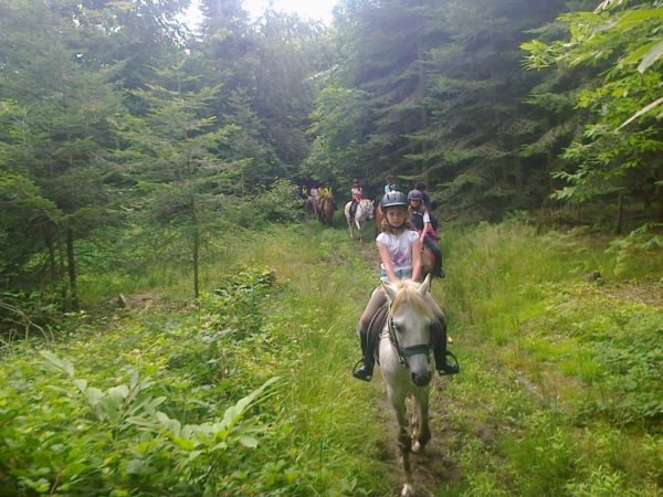 Initiation à la randonnée à cheval en Bretagne