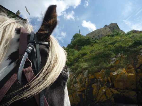 Randonnée à cheval Week End en Baie du Mont Saint Michel et en Bretagne